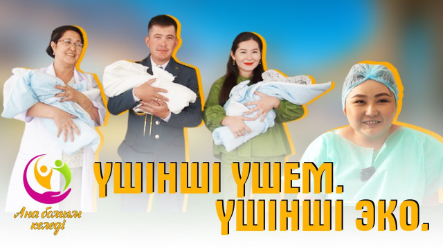 Үшінші үшем. Үшінші ЭКО